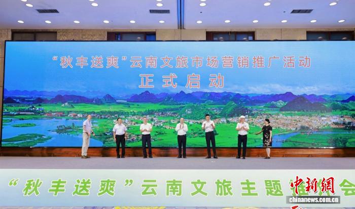 热门赛事深度解析，助你玩转体育博弈 - 华体会